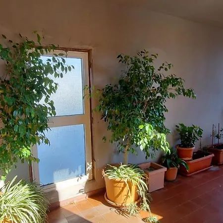 Bellavista Apartment
