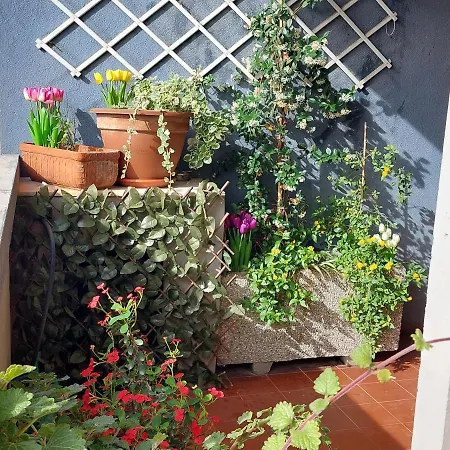 Apartamento Bellavista